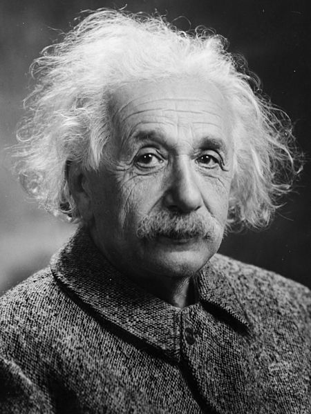 Quotes Analysis: Albert Einstein Fish Quote