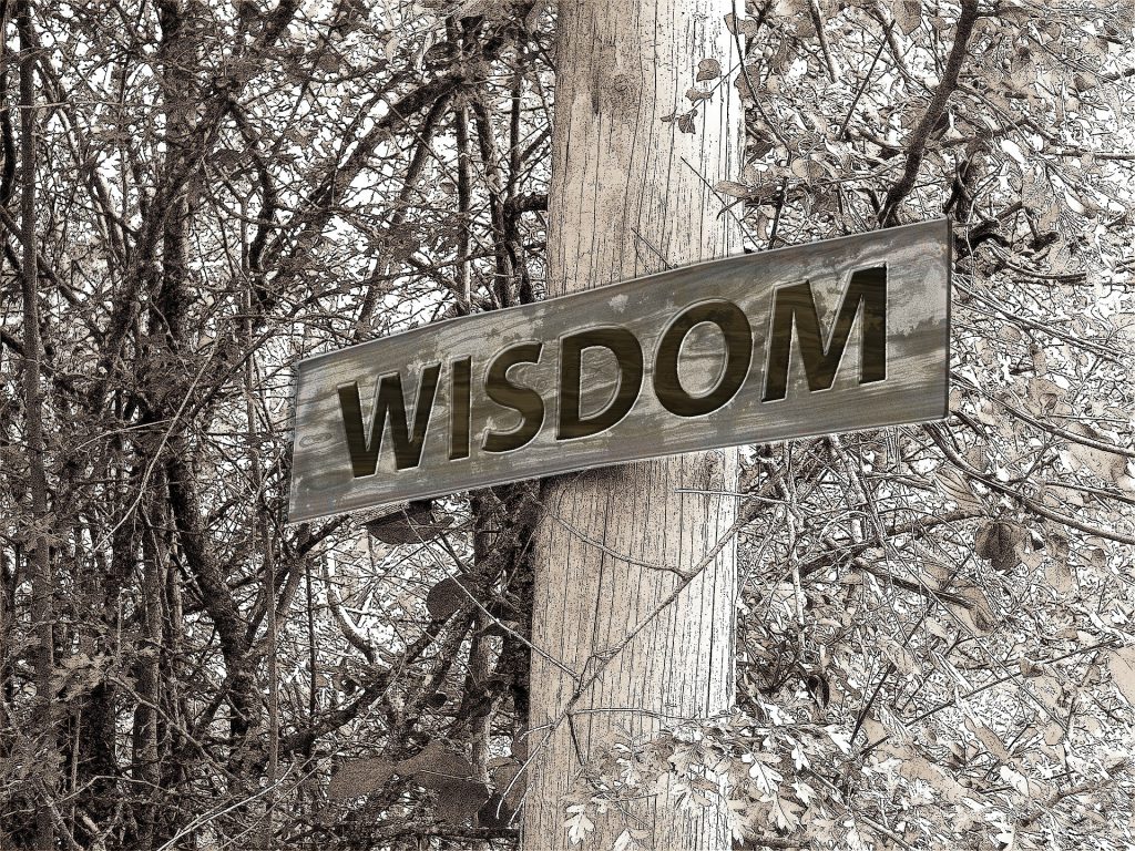 Intelligence vs Wisdom : What is the difference?