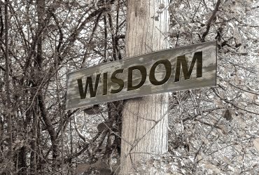 Intelligence vs Wisdom : What is the difference?