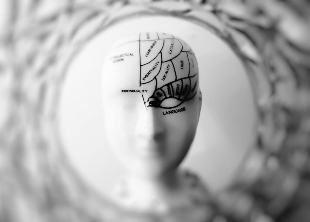 How To Effectively Develop The 4 Brain Quadrants